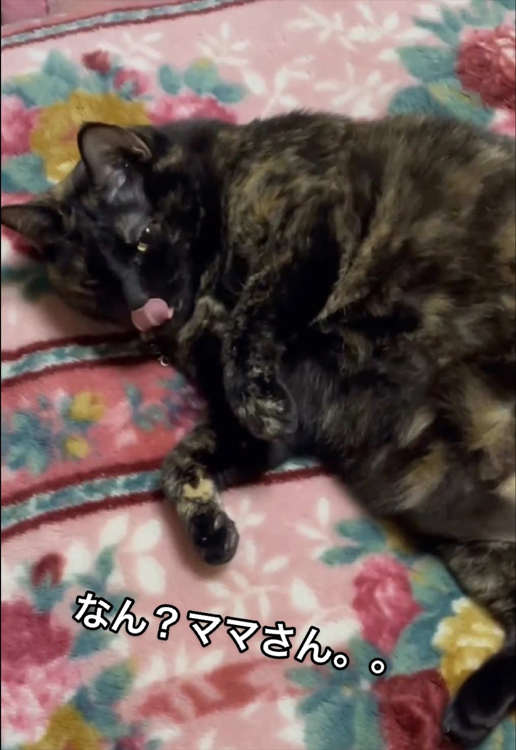 @聴々物語PROJECT