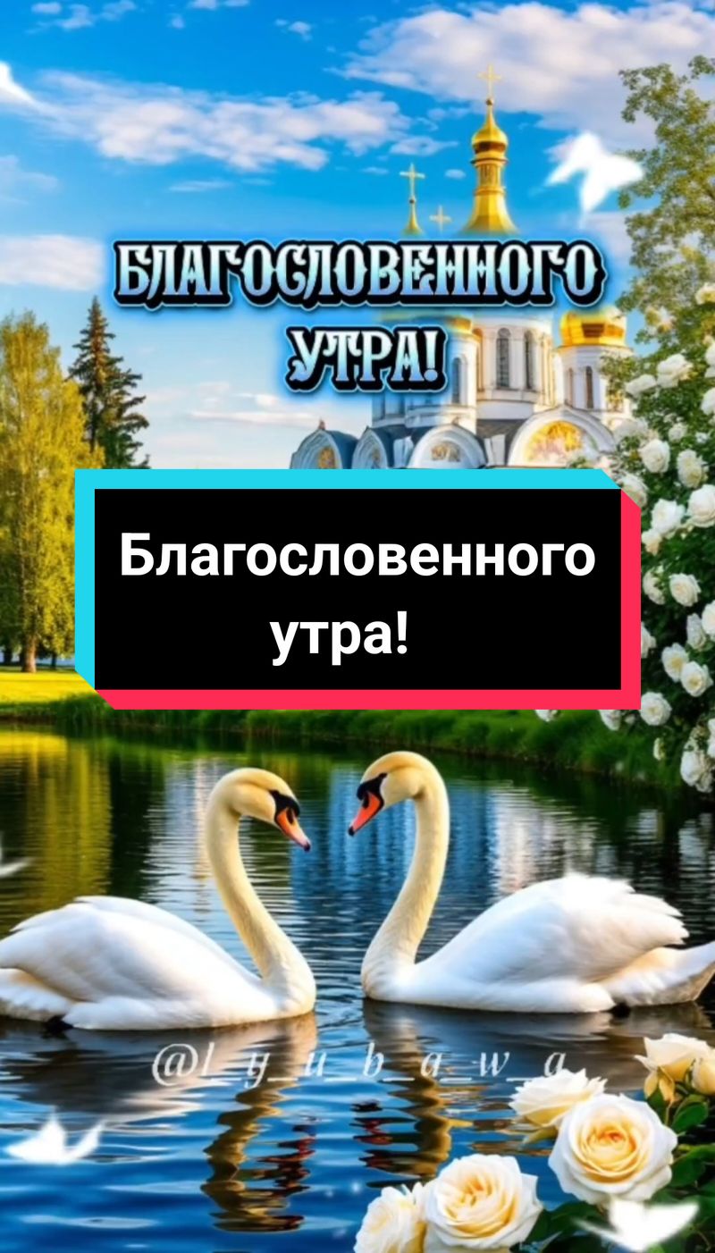 @Любава