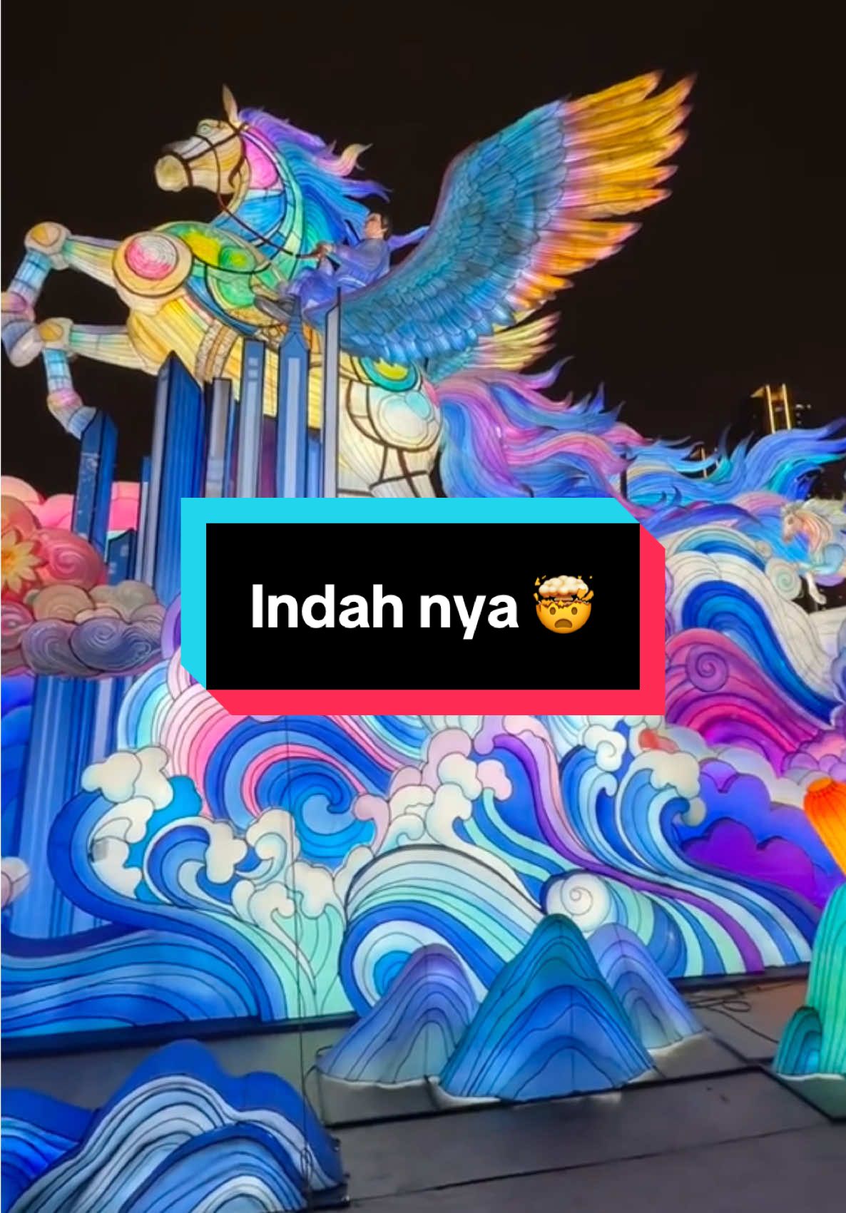 @amiyang.888