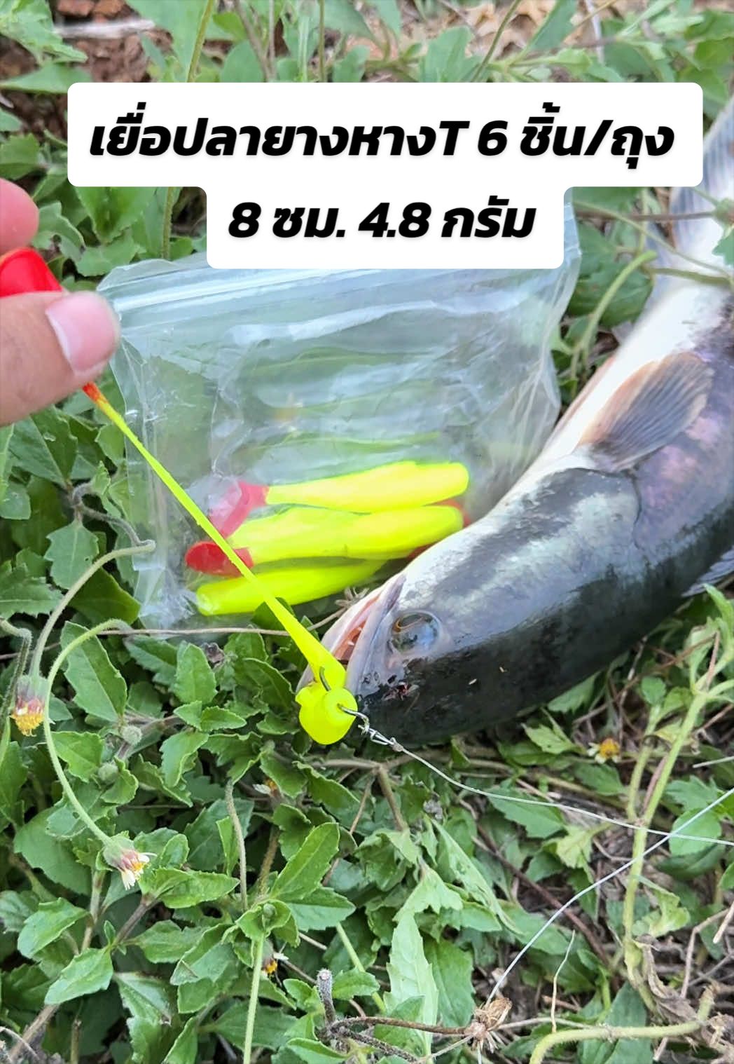 @น้ากอล์ฟ fishing ชอบแต่งรถ