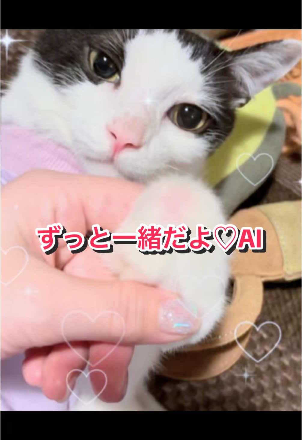 @陸丸 Rikumaru