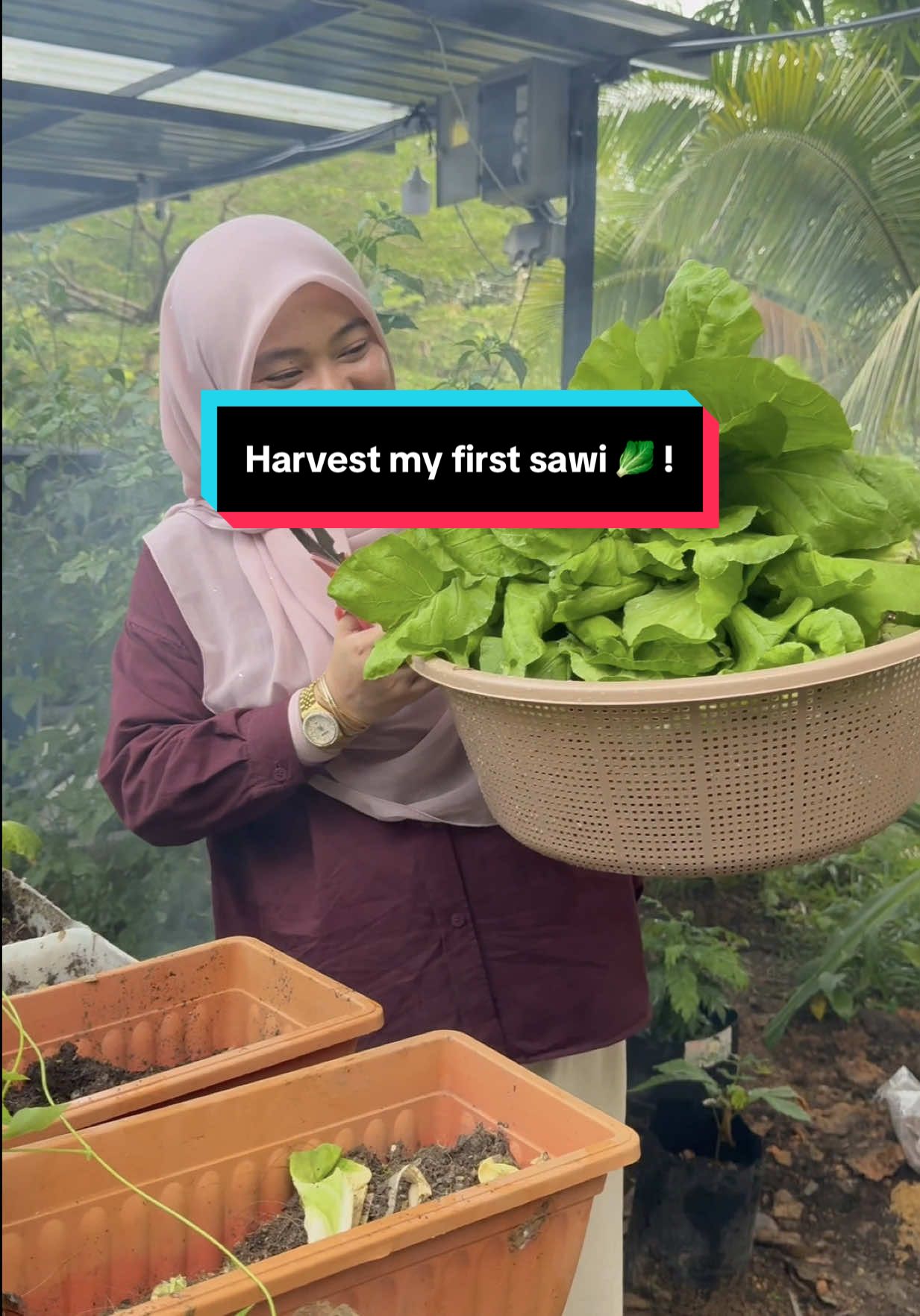@AB Agrofarm 588