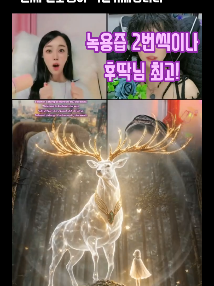 @๐๐ซฐ๋ฆผ๋ฅ๐ซฐ๐