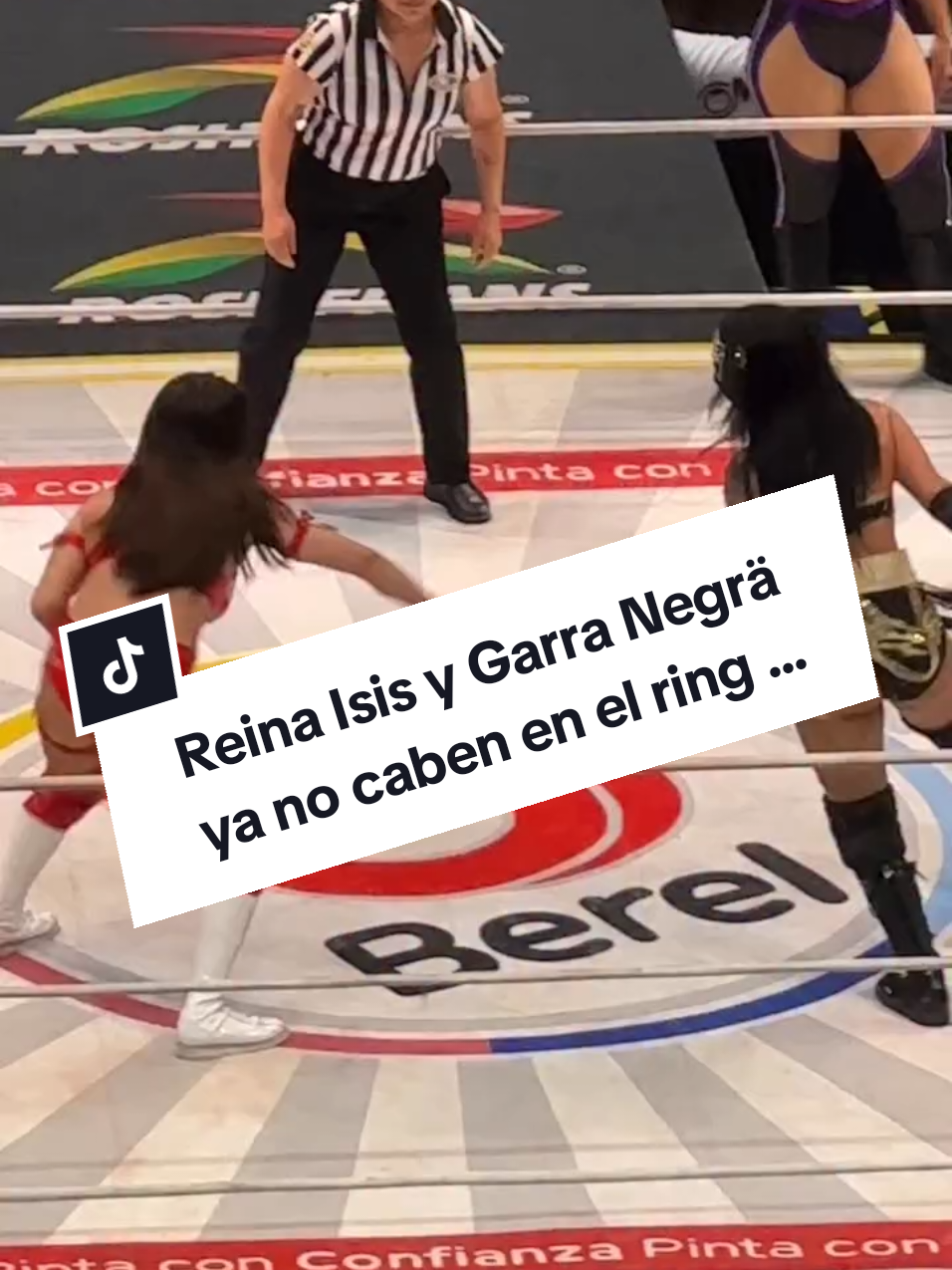 @Damas&Gladiadores Lucha Libre