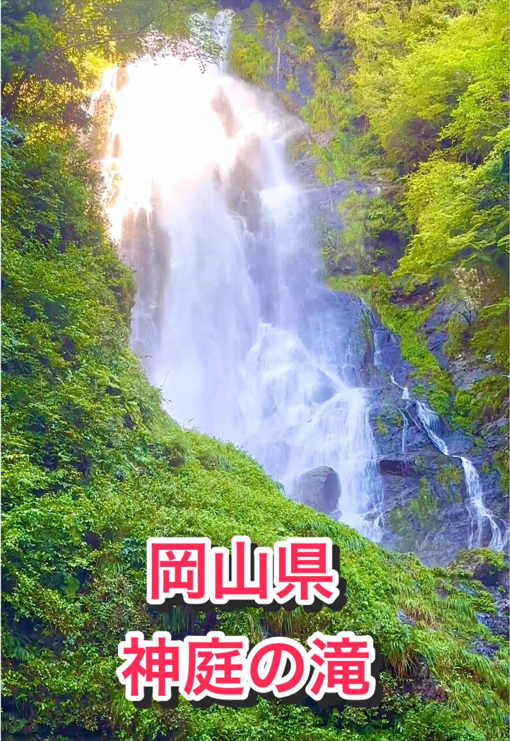 @音丸ぽん🇯🇵