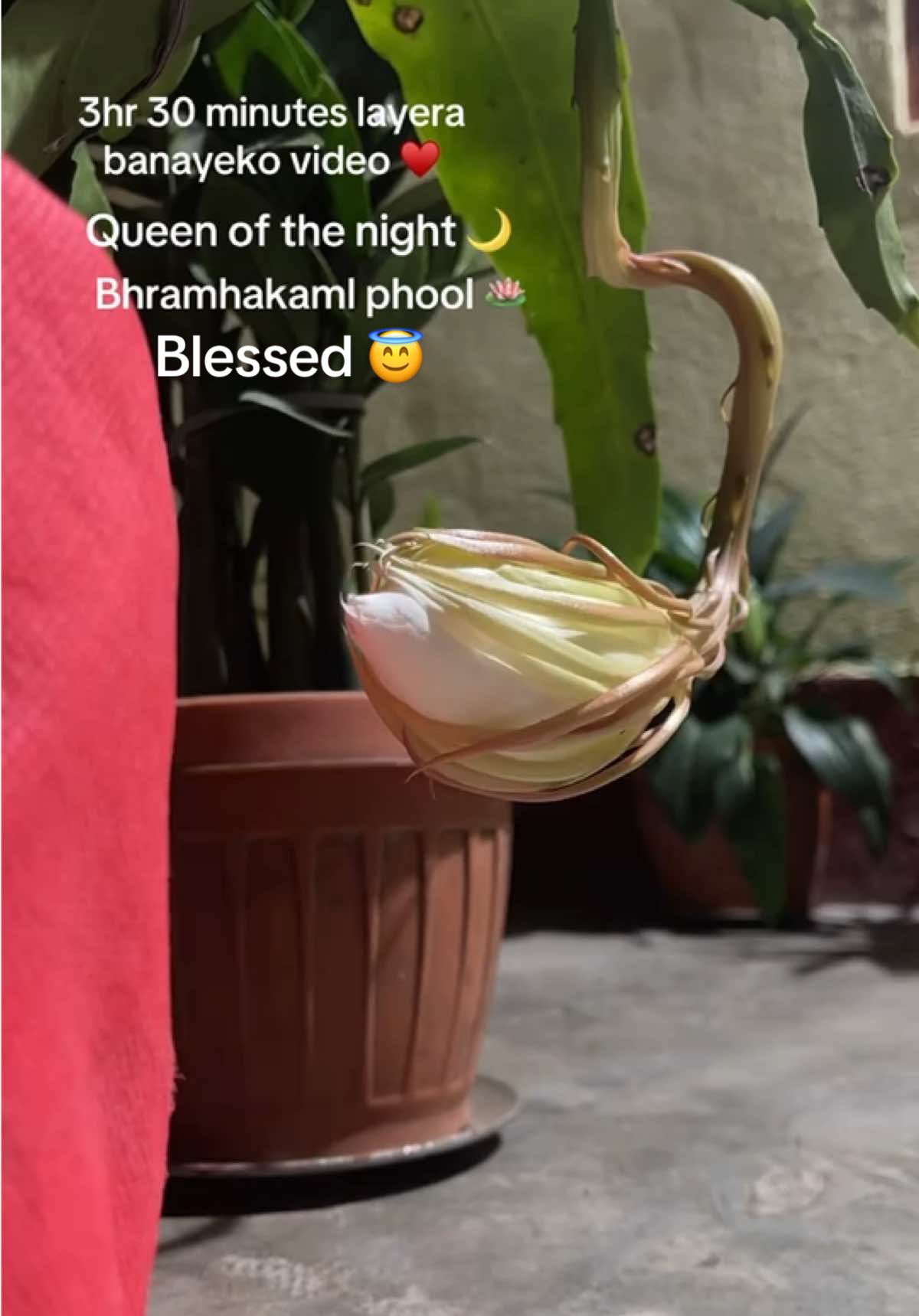 @Ms. Adhikari  🫧