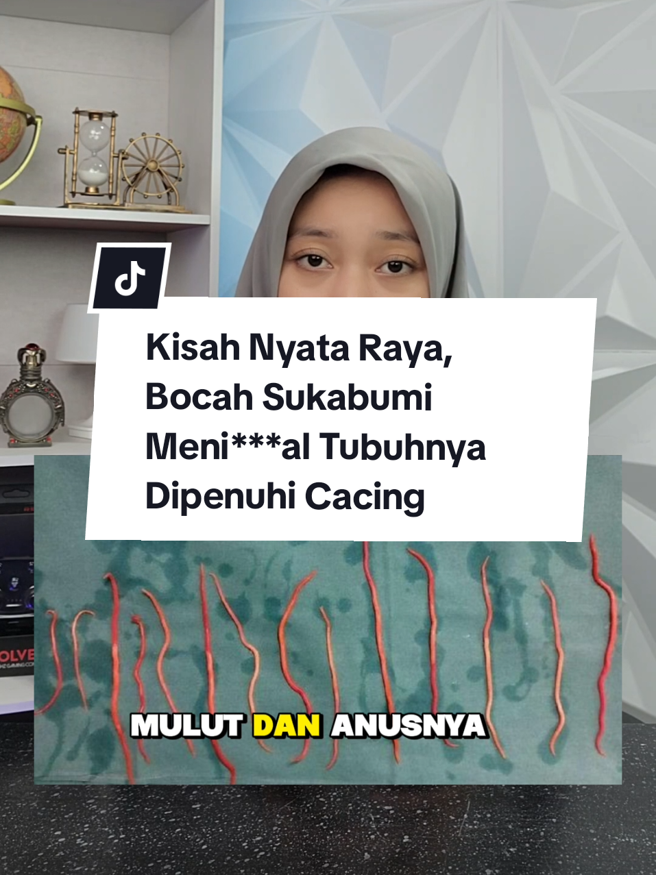 @bukanfaktabiasa