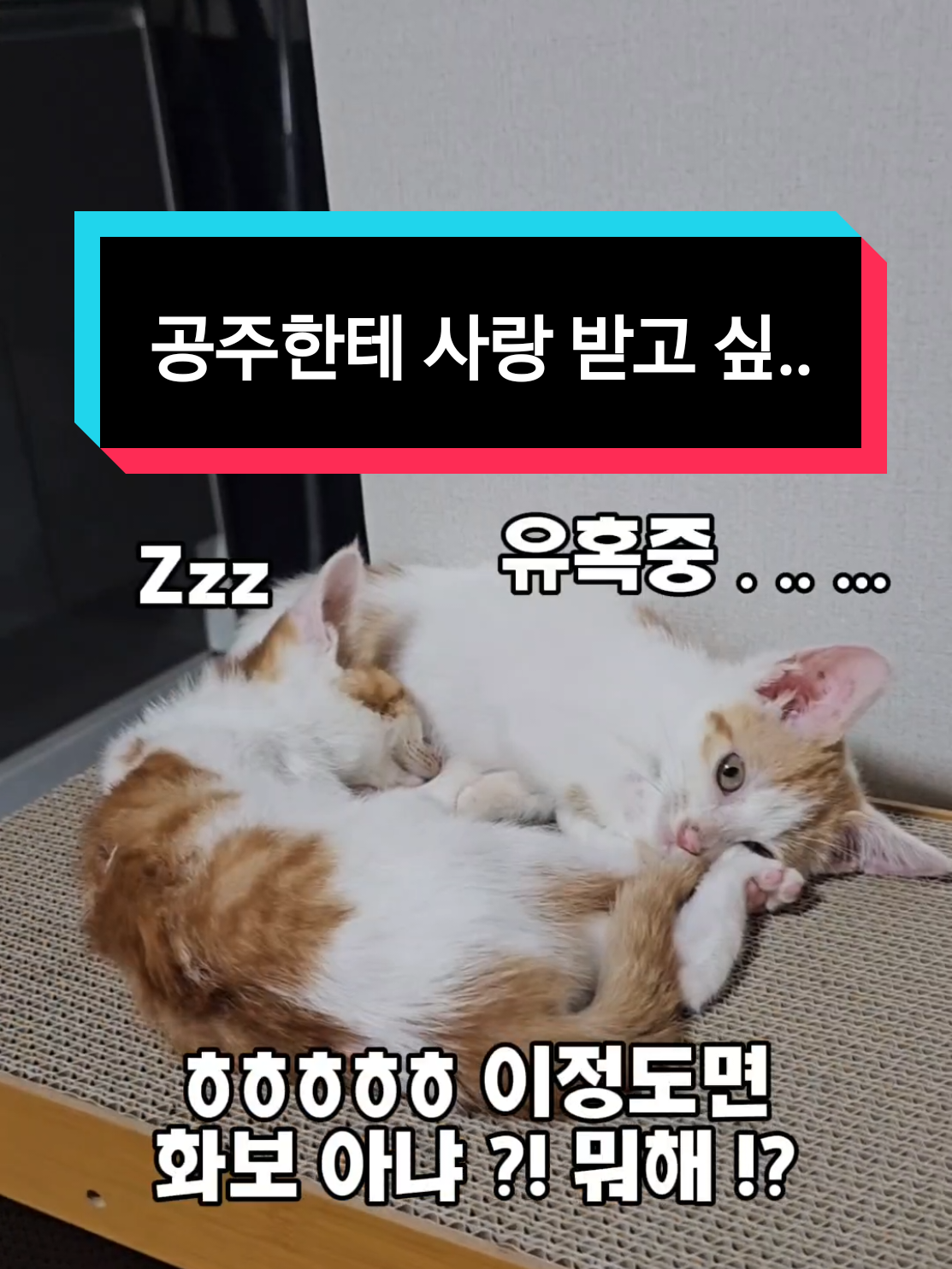 @๐ง๐น๊ผญ์ง์ ํธํ๋๐ชถ๐ง