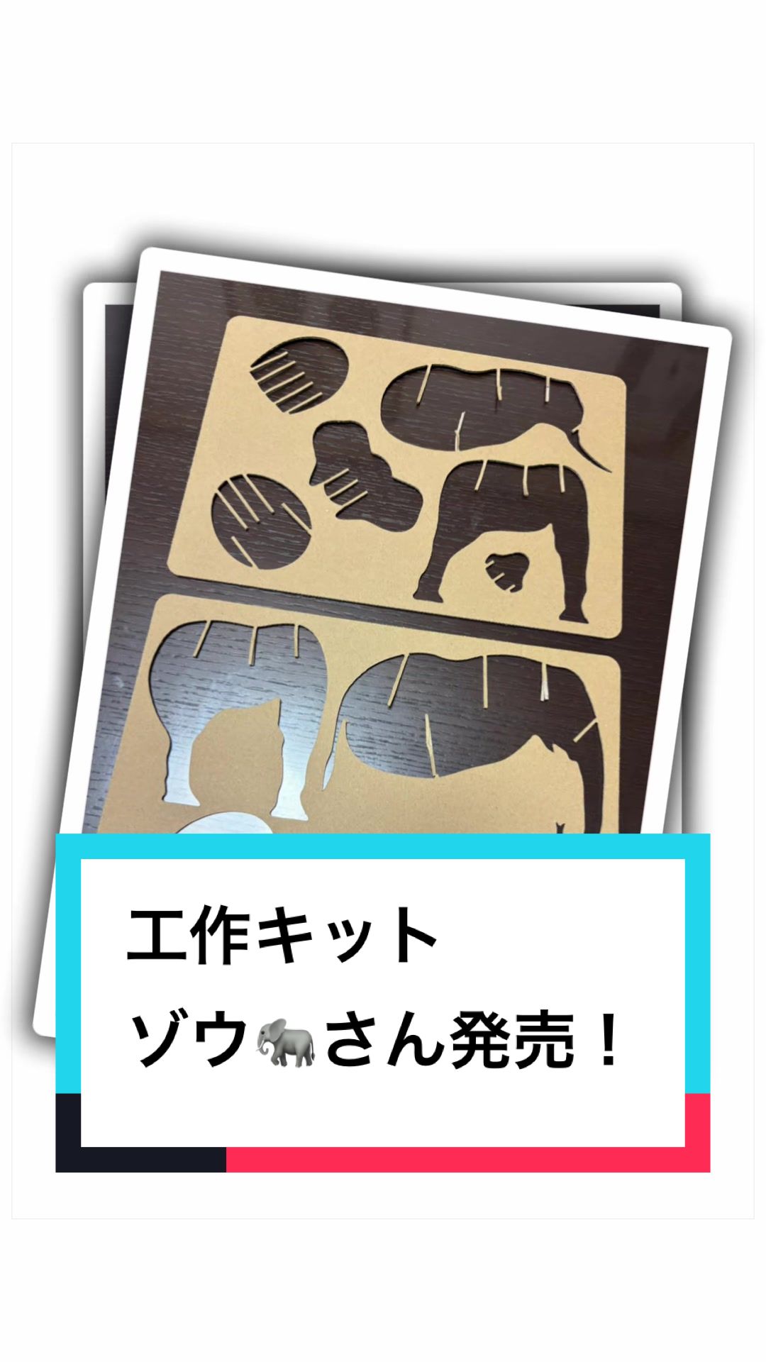 @ダンボール王子🌏♾️🐦&zwj;🔥