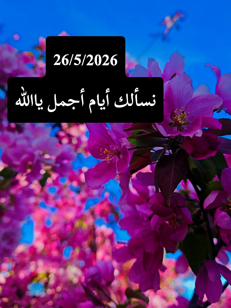 @🍃🌸Tahani Khafas🌸🍃