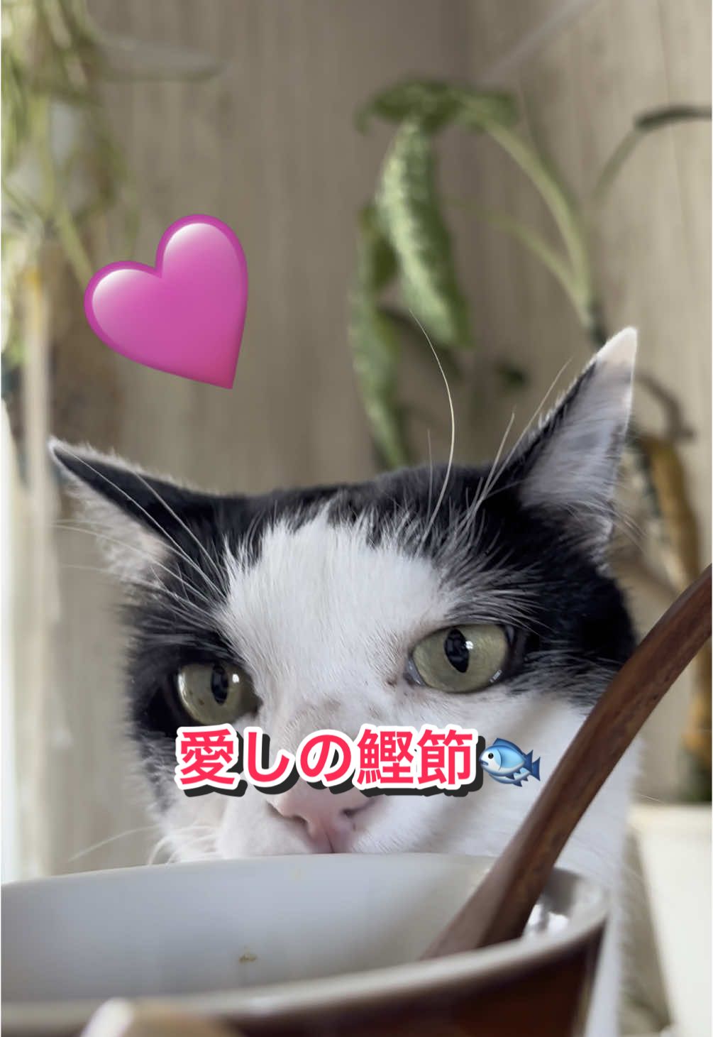 @陸丸 Rikumaru