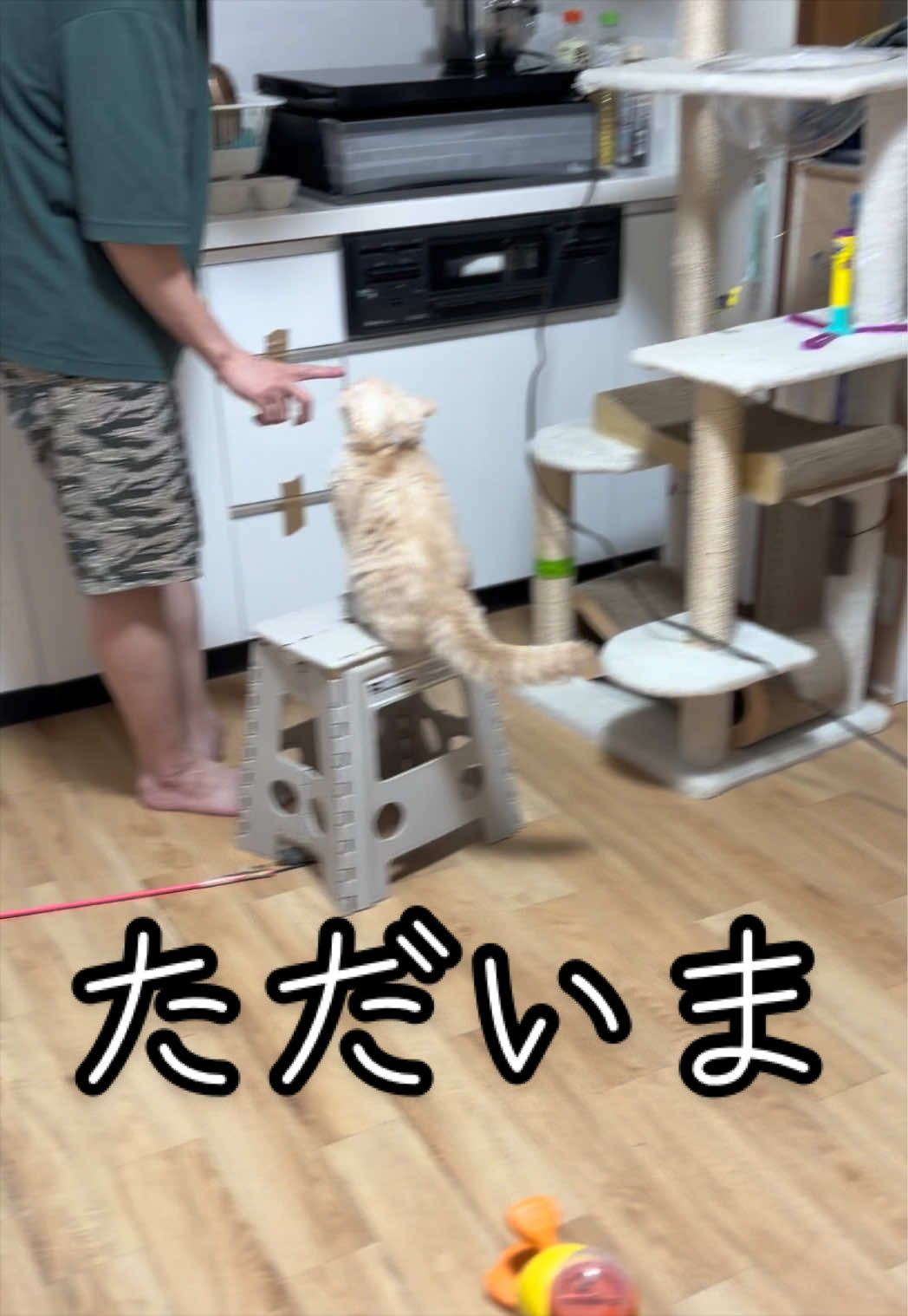 @縫くんと私