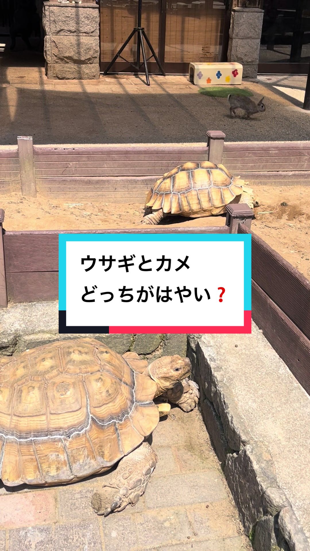 @【公式】月うさぎの里