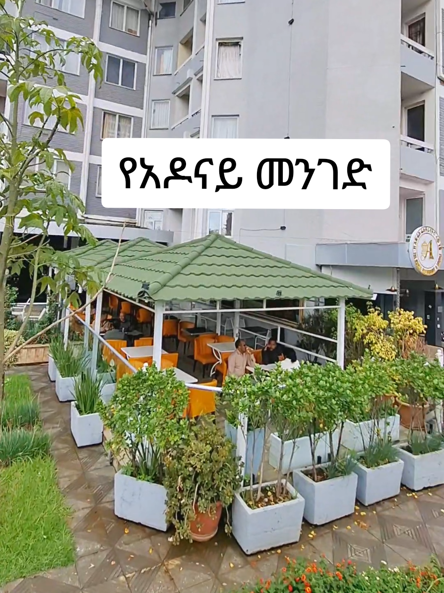 @Bereket Debay CEO