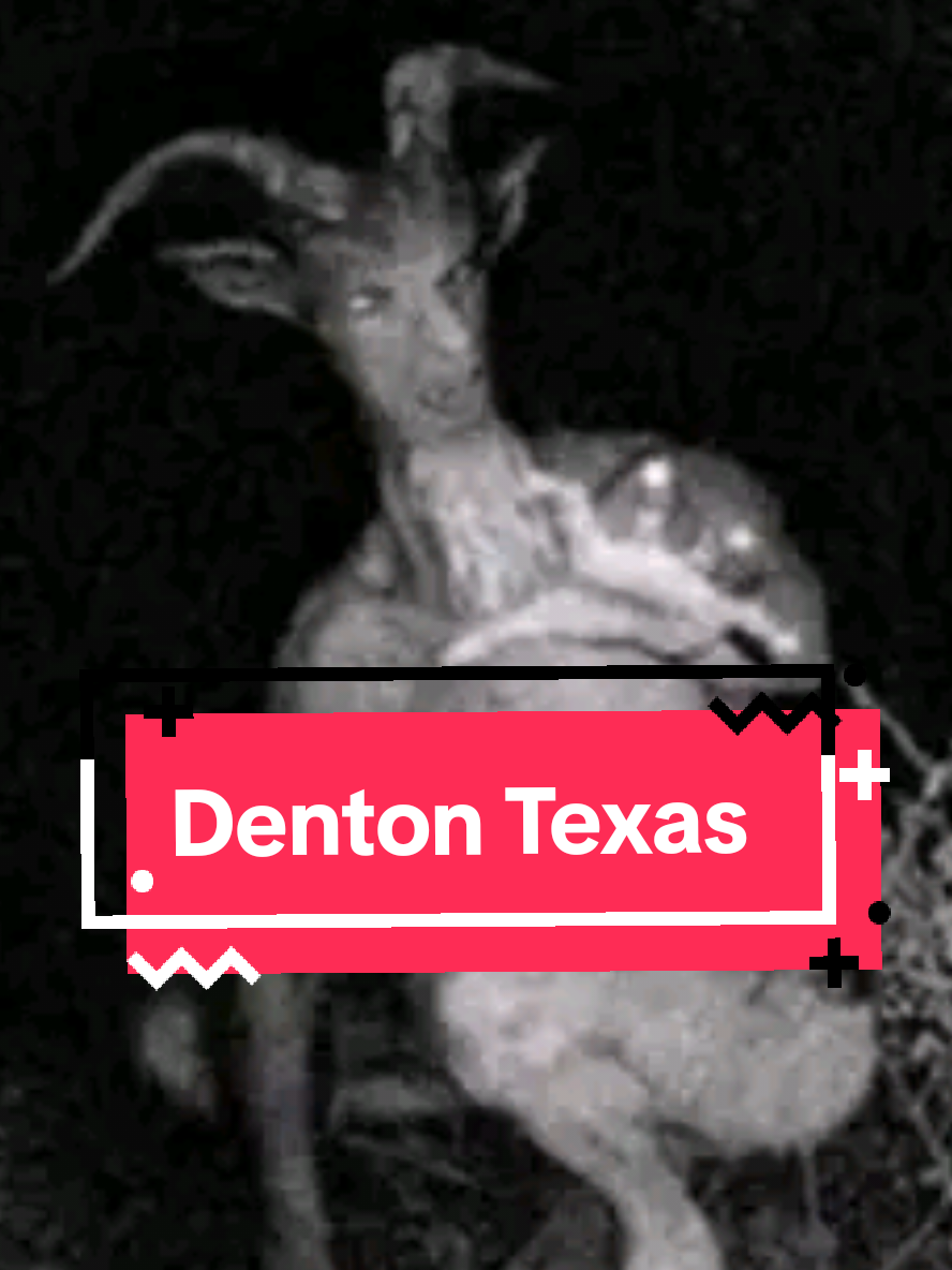 @Dave Paranormal