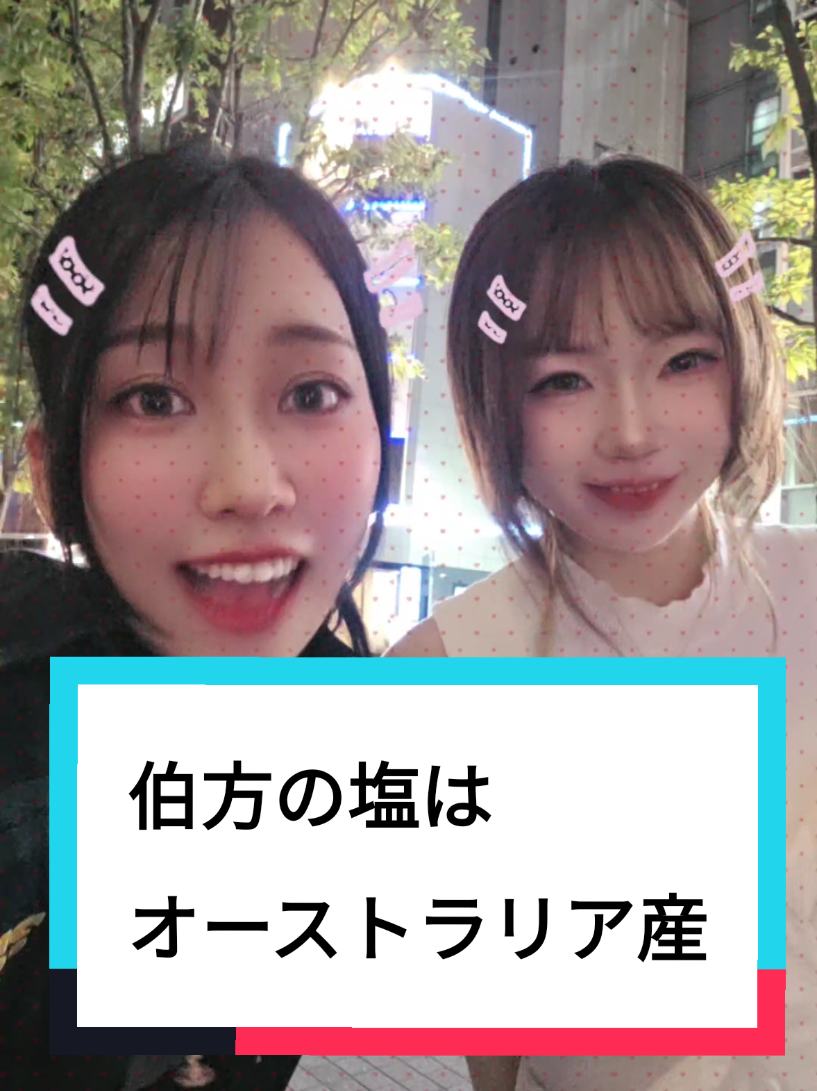 @Leo🦁⋆︎ 嶋田礼央