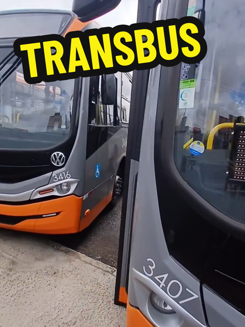 @Mem&oacute;ria da Busologia