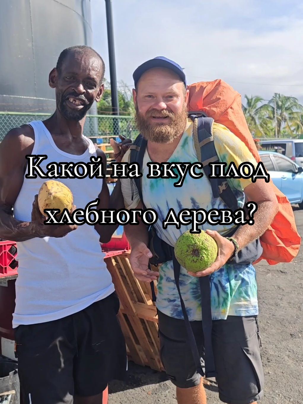@Homatravel