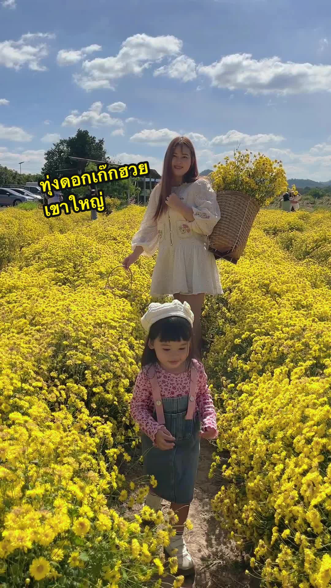 @ปะป๊าน้องโมบาย