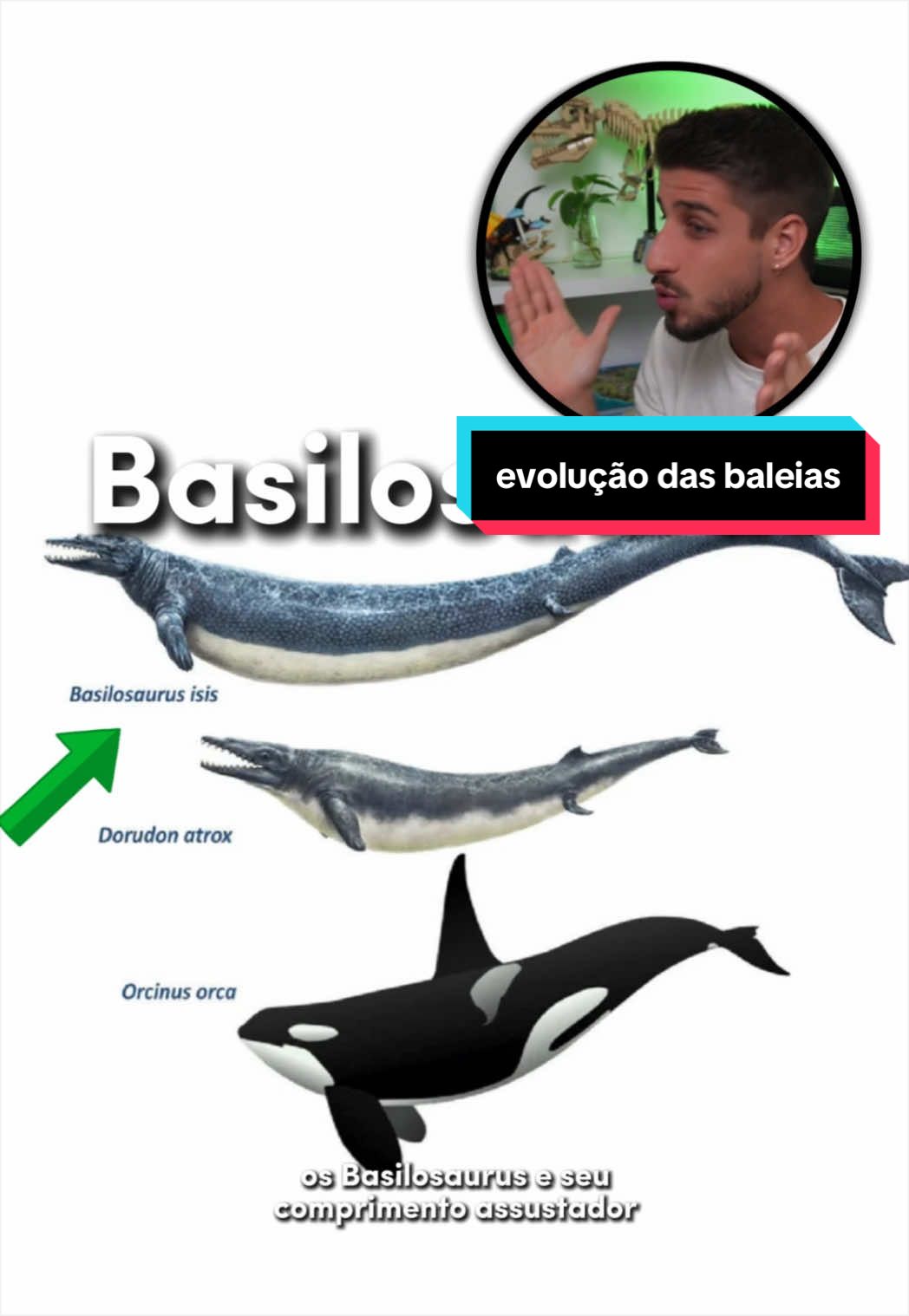 @Yago Stephano