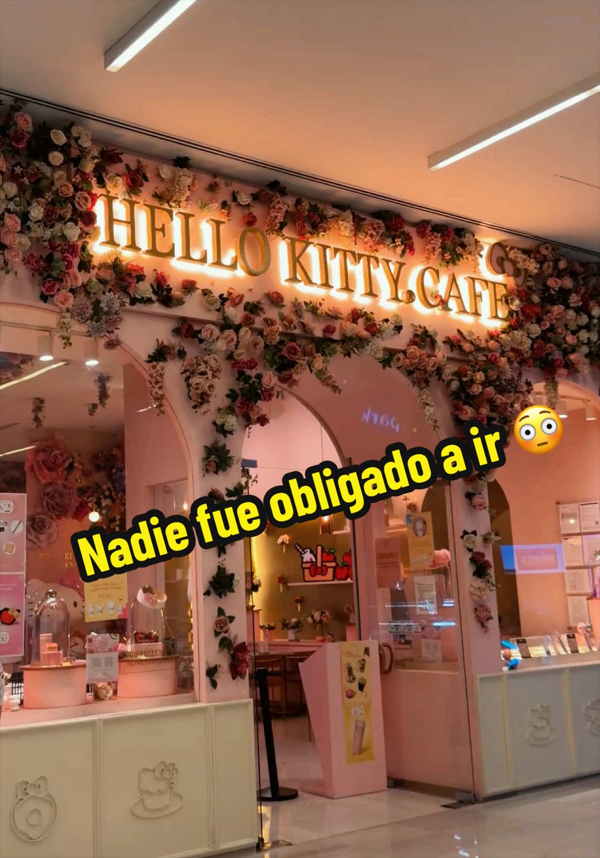 @grachilez