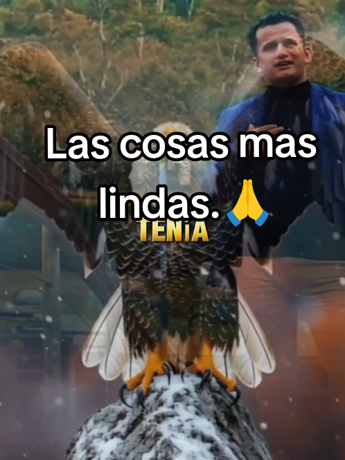 @Herminia Gonz&aacute;lez.