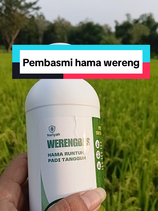 @Kang_Ewi