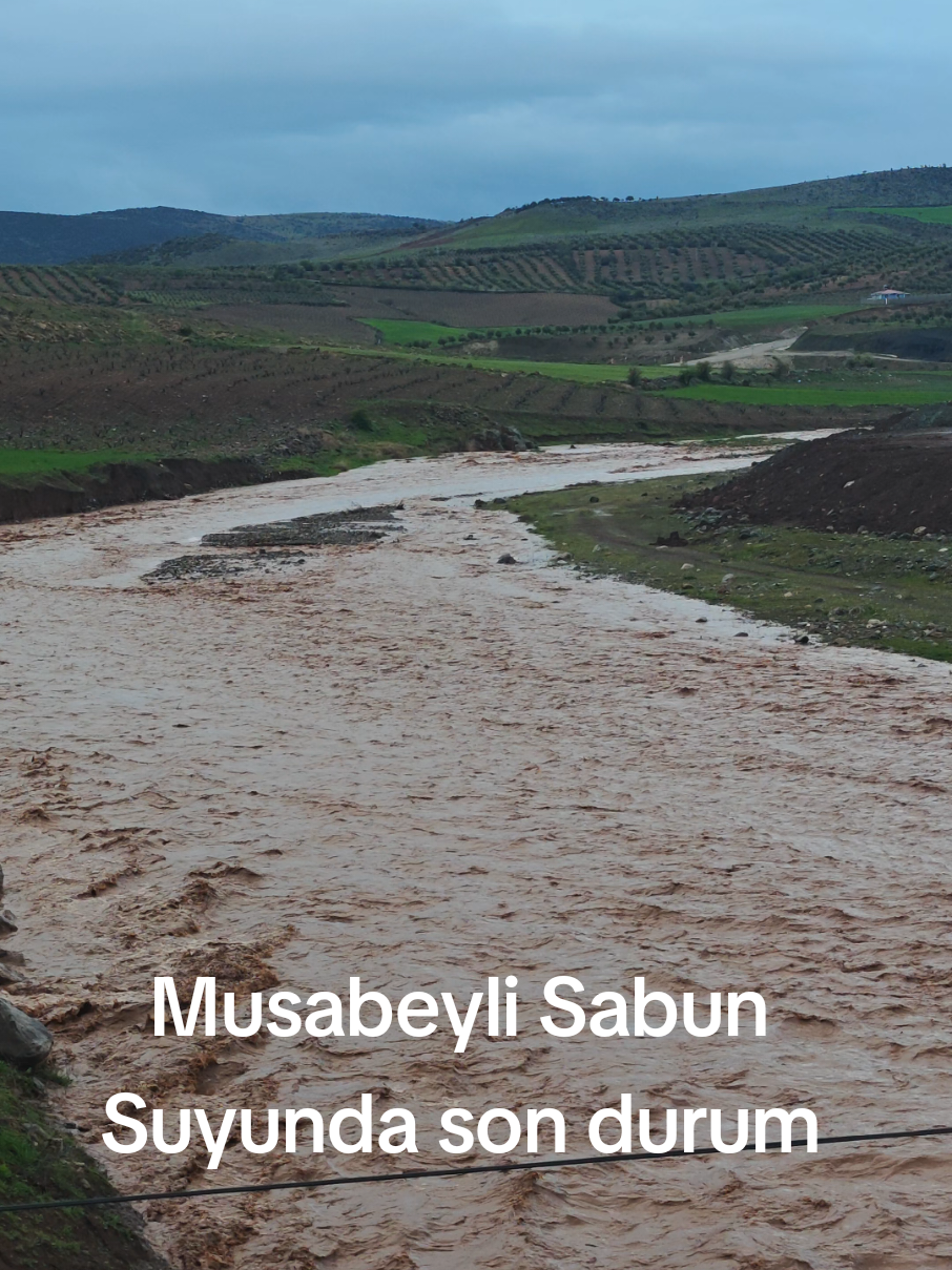 @Musabeyli Merkez