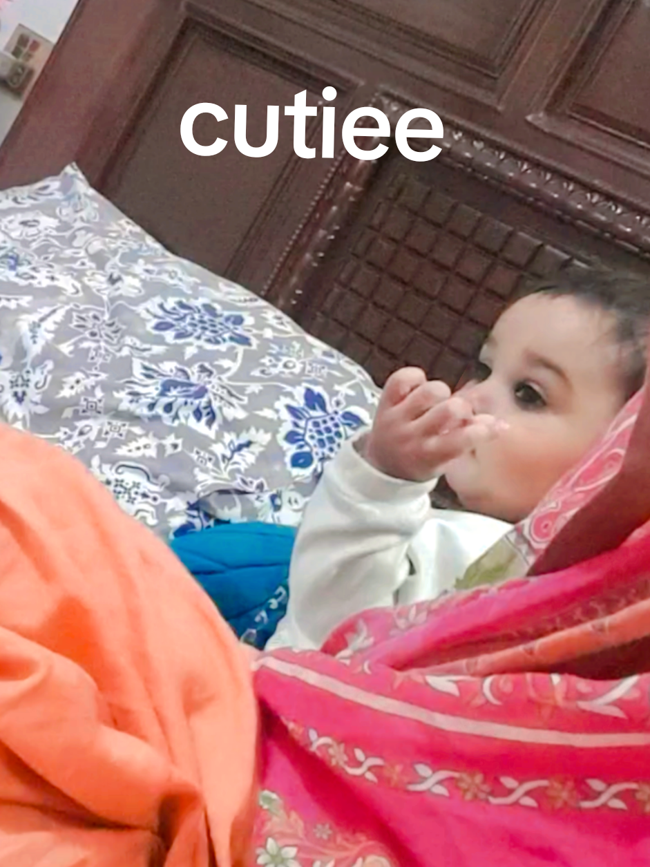 @zainab yamin
