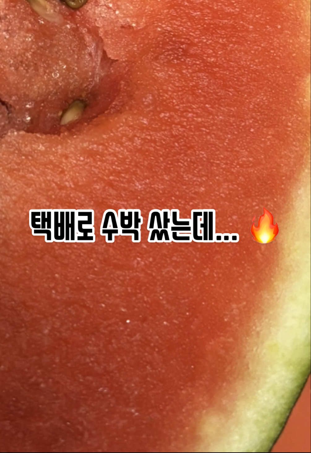 @입맛터진워니