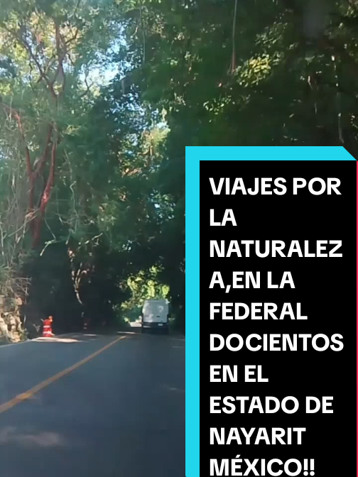 @Eliseo López