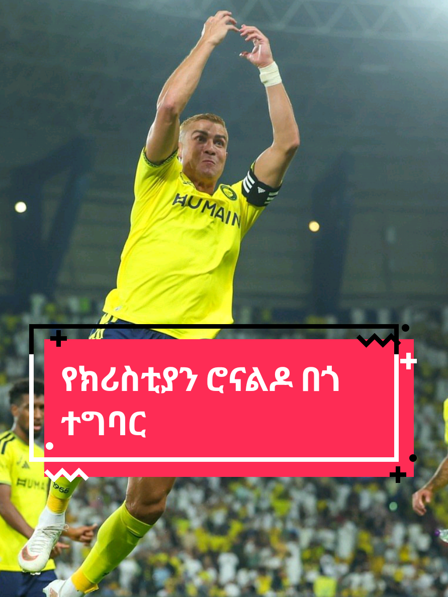 @Sham Sport