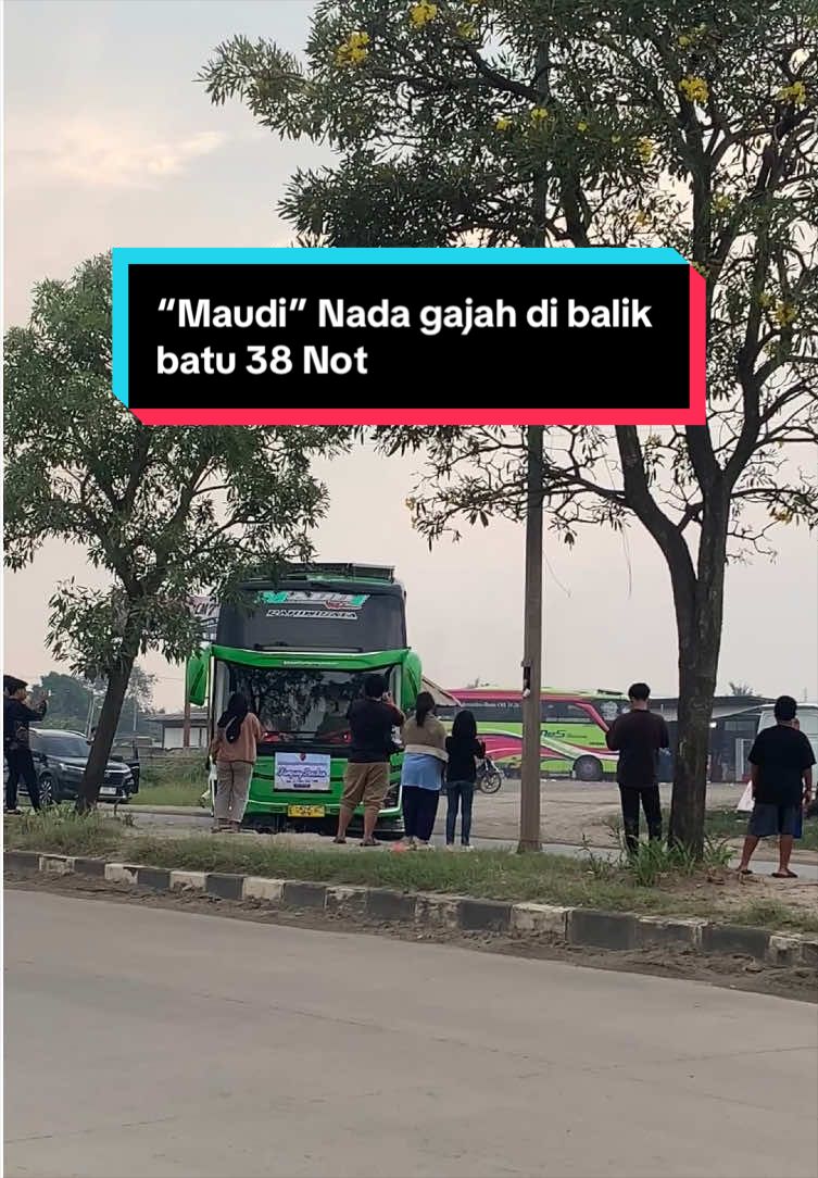 @syaadmuda