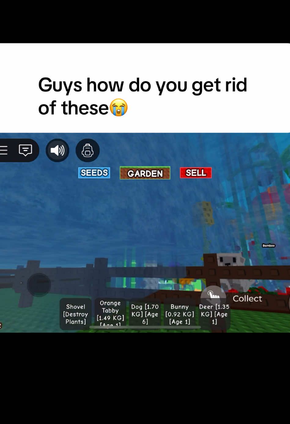 @ILSHRMP