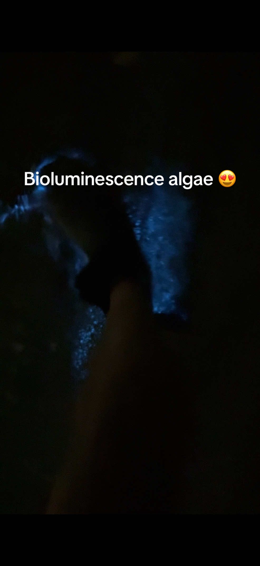 @lostinthehimalaya.com