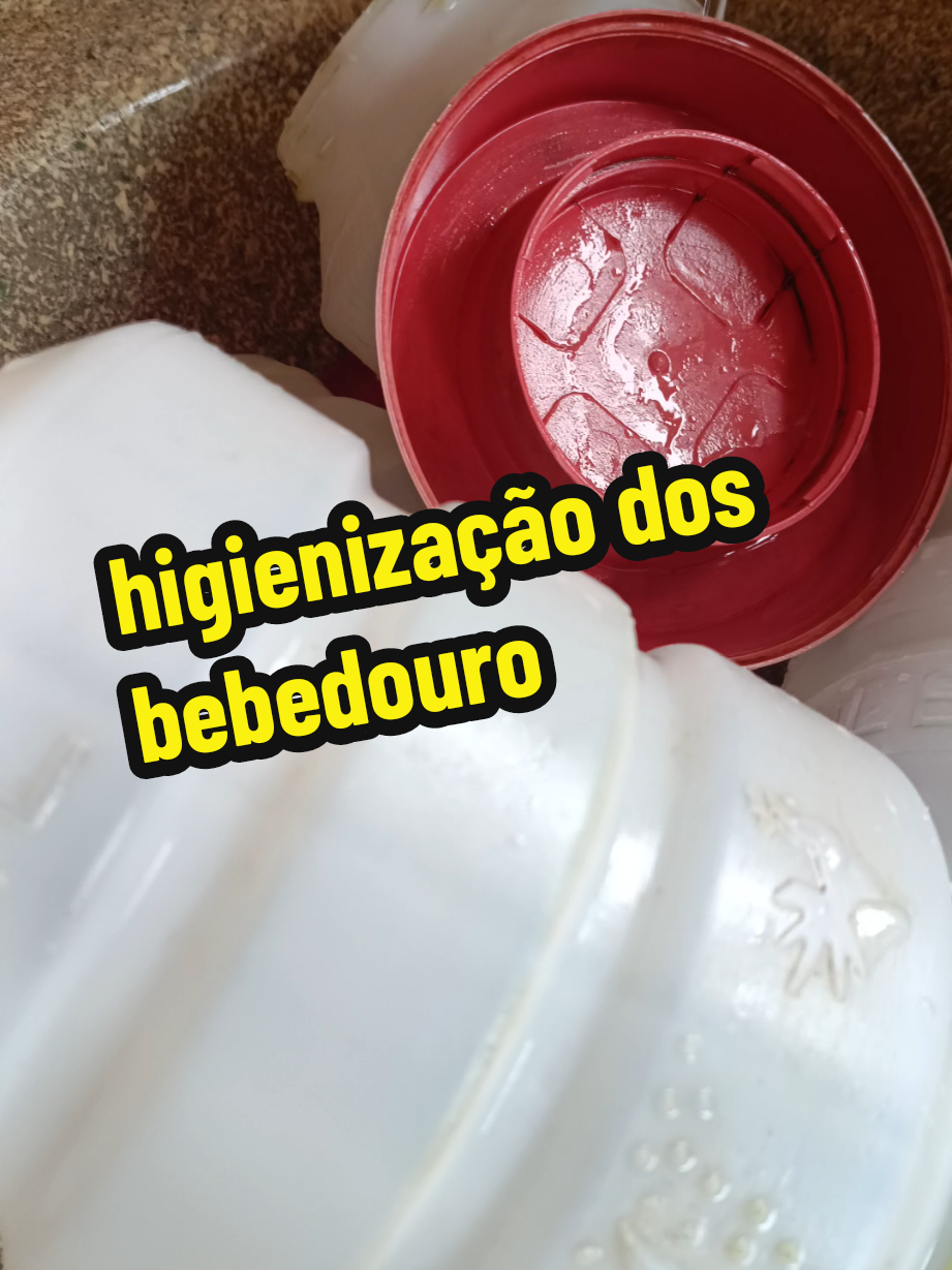 @Elaine Fernandes