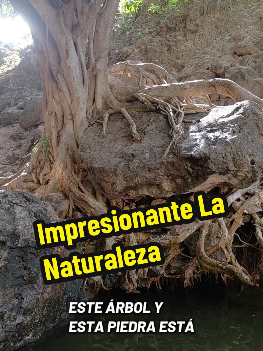 @De Todo RL Guasave