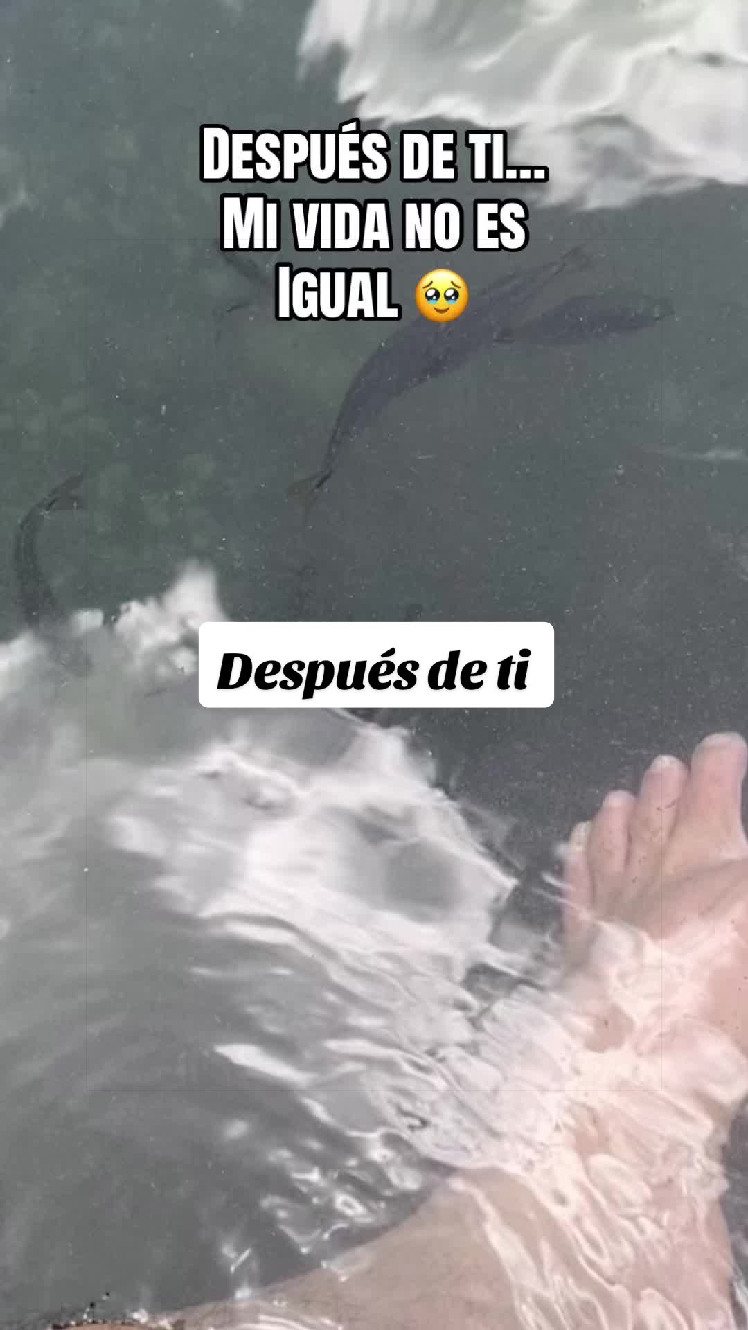 @Ventura🇲🇽😺
