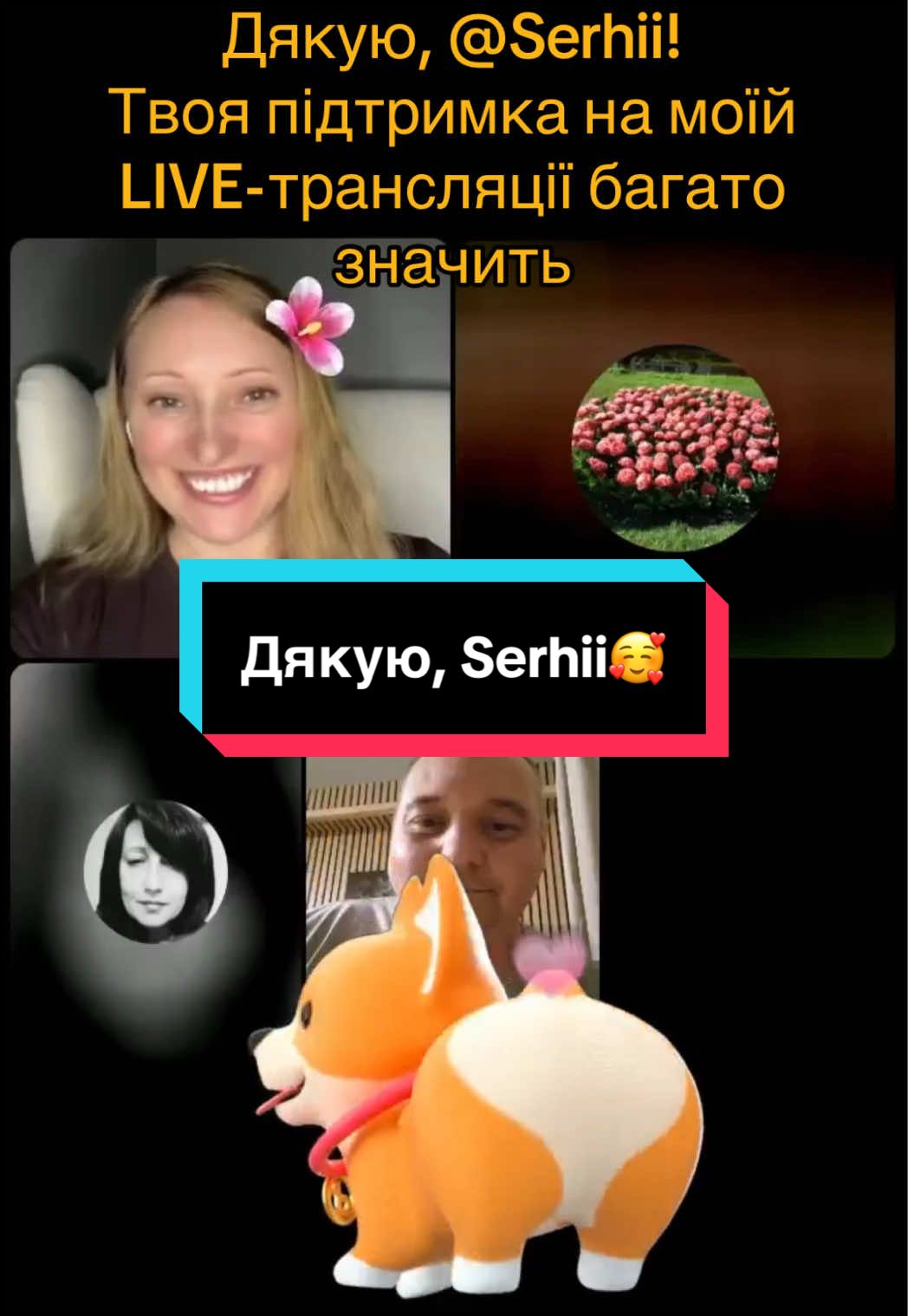 @humortiktokua