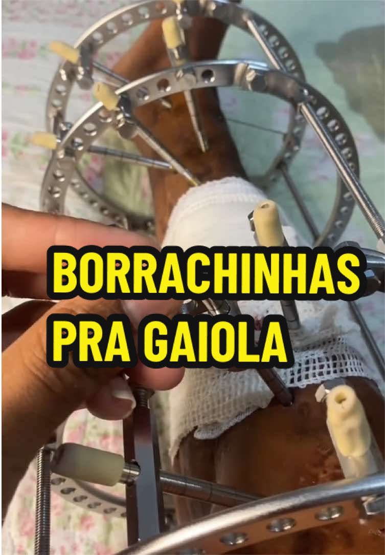 @Halef Henrique