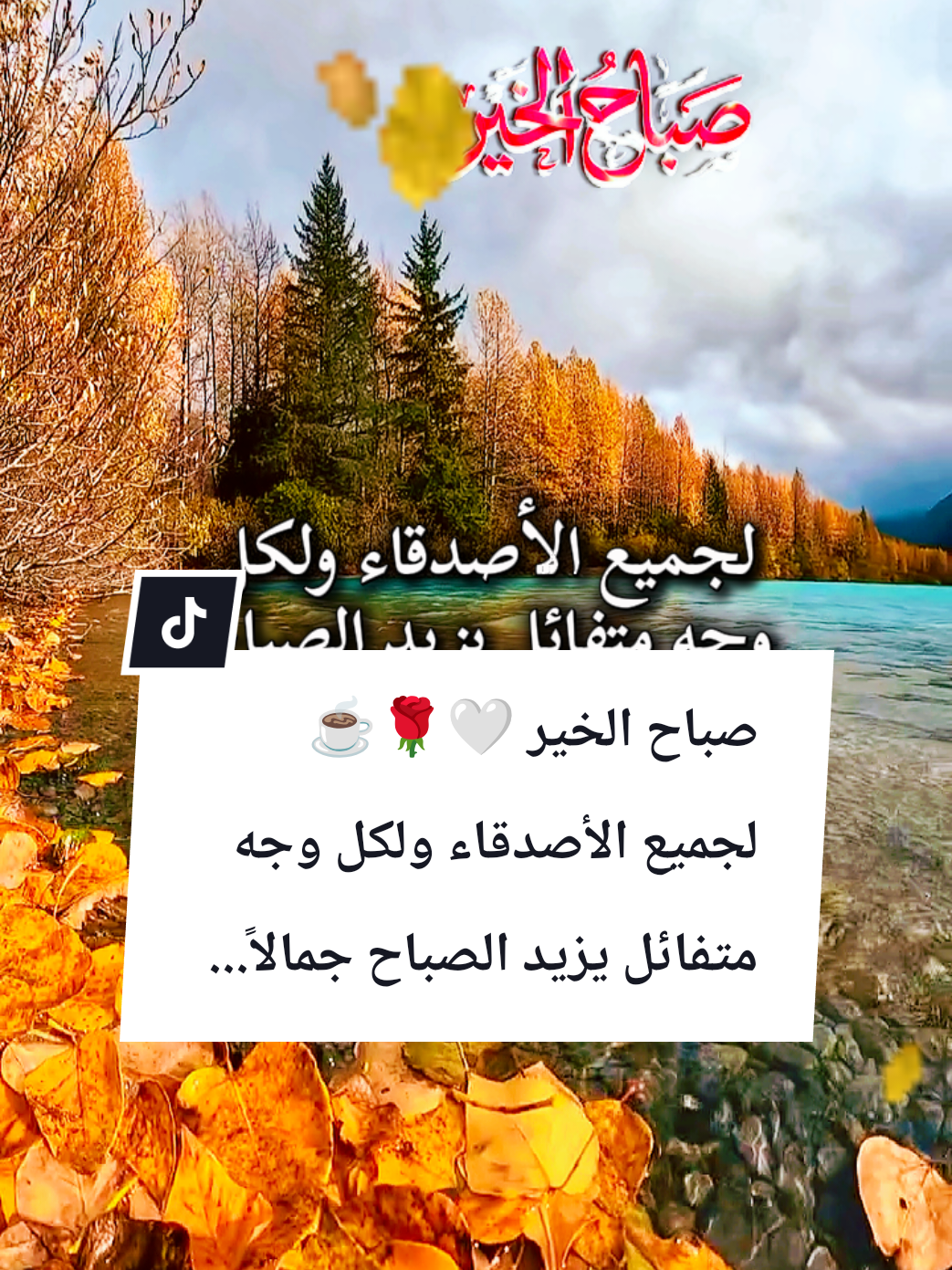 @🌟𝗦𝗼𝘂𝘇𝗮𝗻 𝗖𝗵𝗮𝗺𝘀