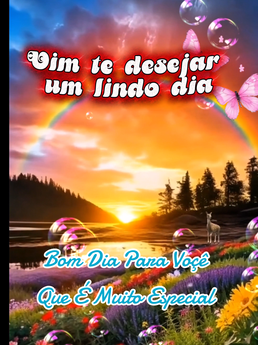 @César A. A. Santos