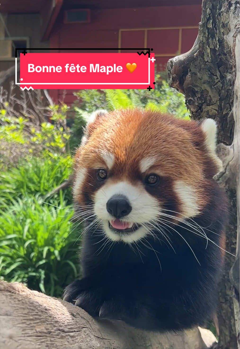 @Zoo de Granby