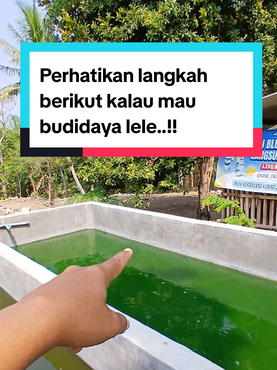 @Kang_Ewi