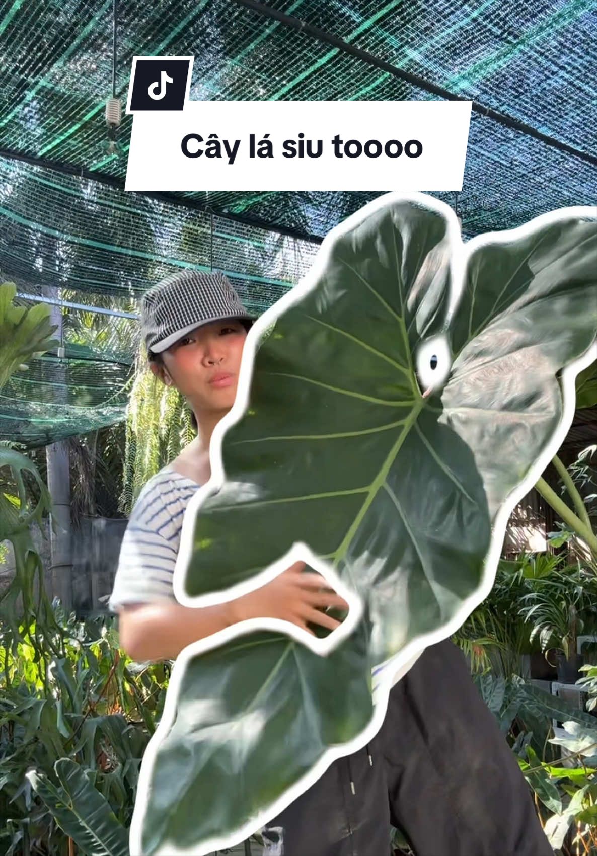 @Vuoncuakien