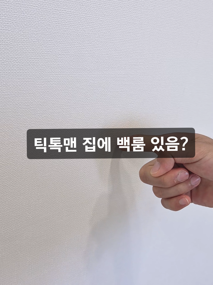 @틱톡맨