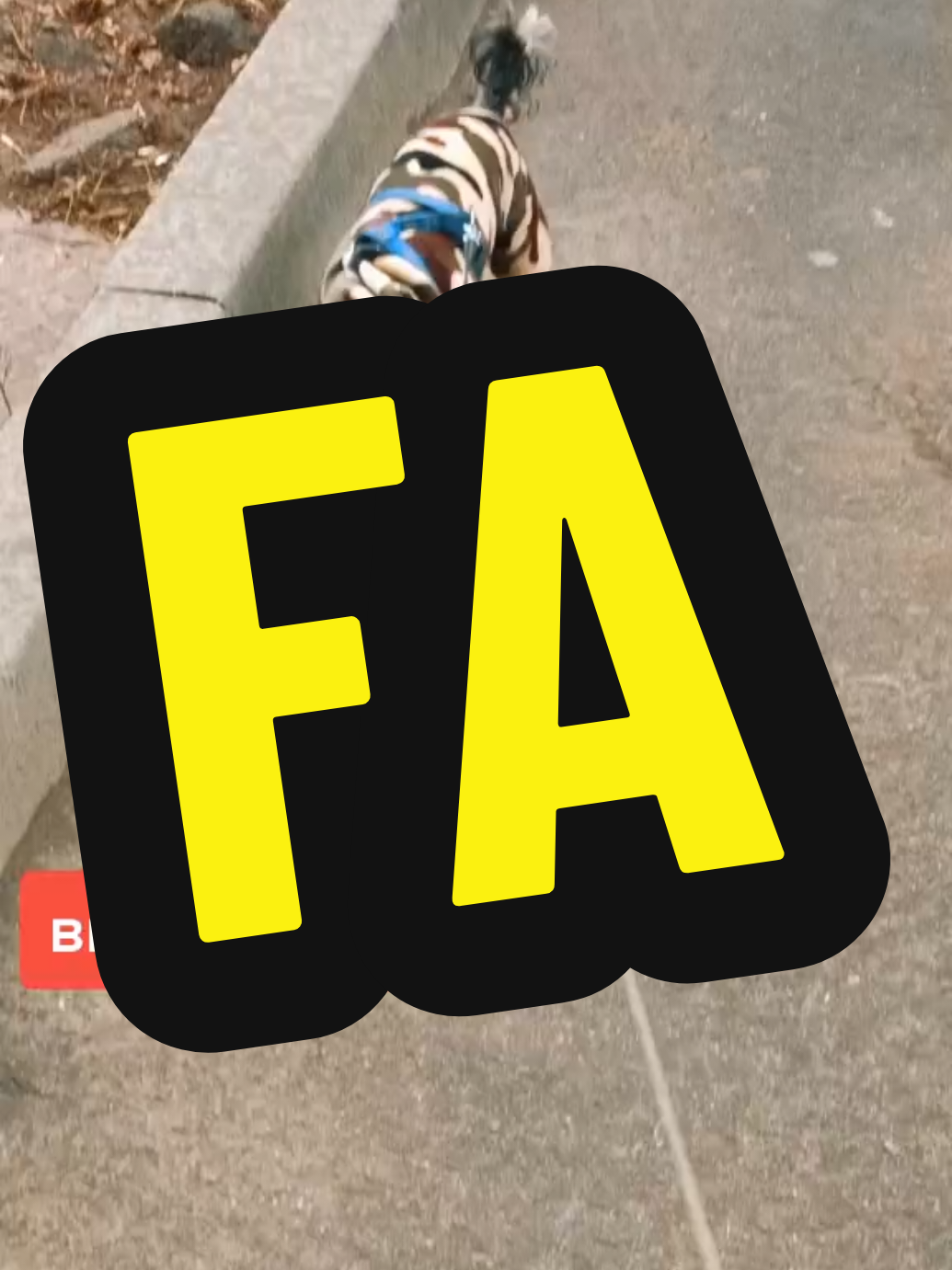 @🤟Веня Машаранский✌