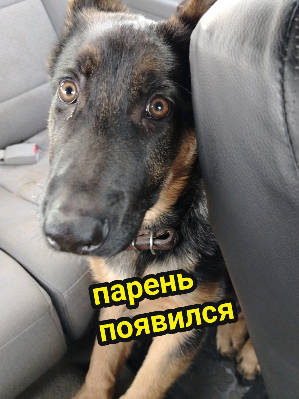 @Рыся✔️🇧🇾