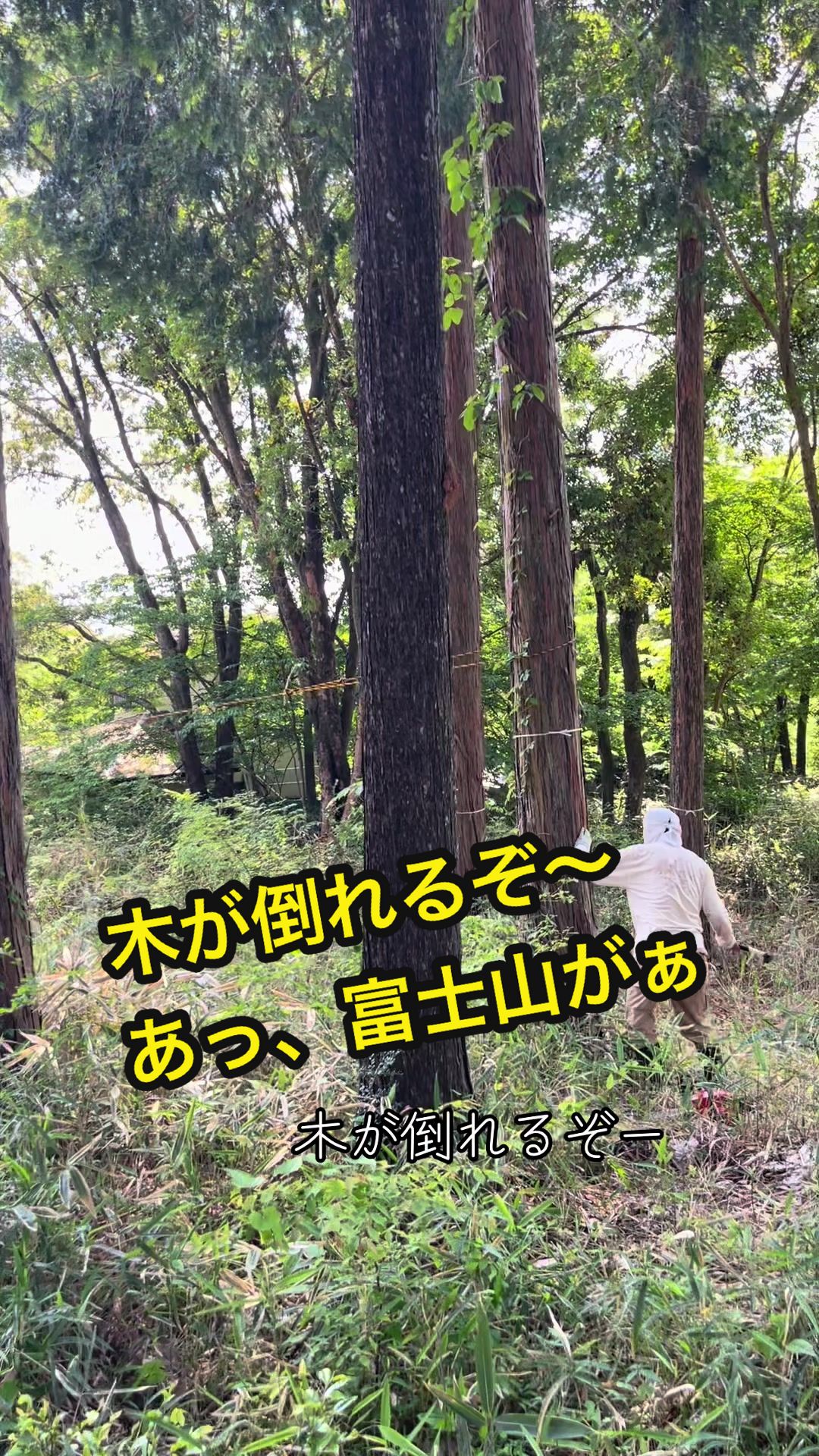 @若林昭子