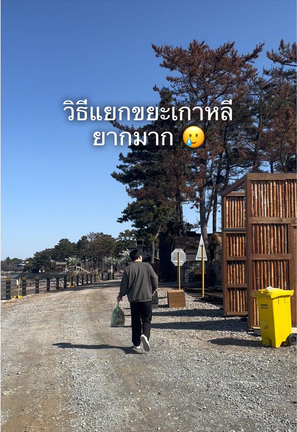 @melody